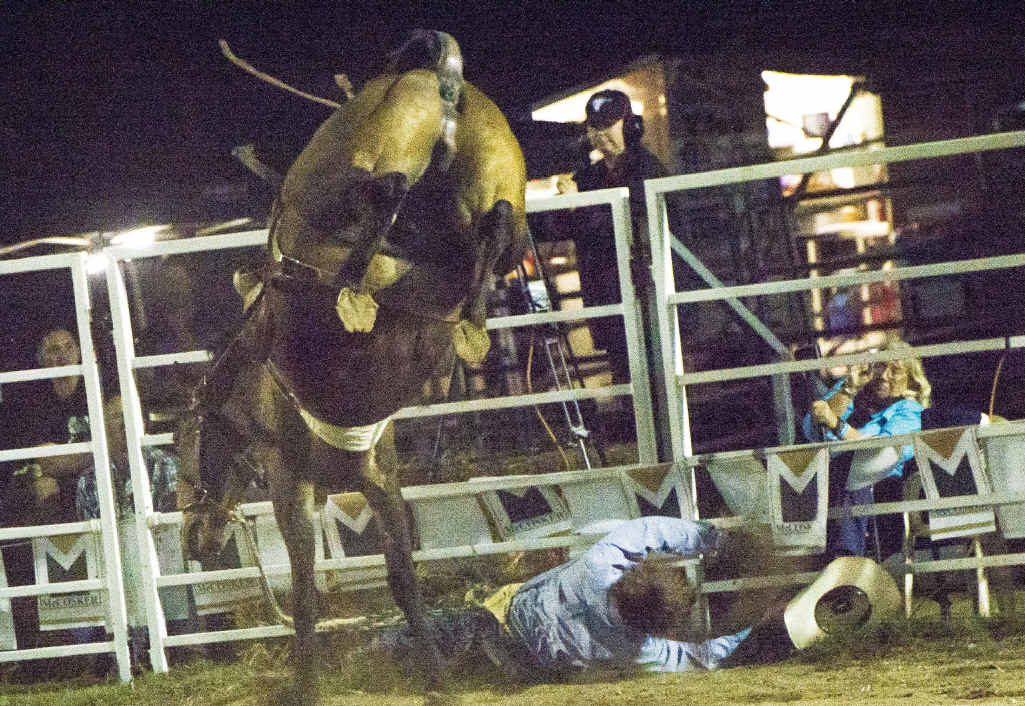 Tom Pearson was knocked out by a fall at the Calliope Rodeo. Tom Pearson was knocked out by a fall at the Calliope Rodeo.